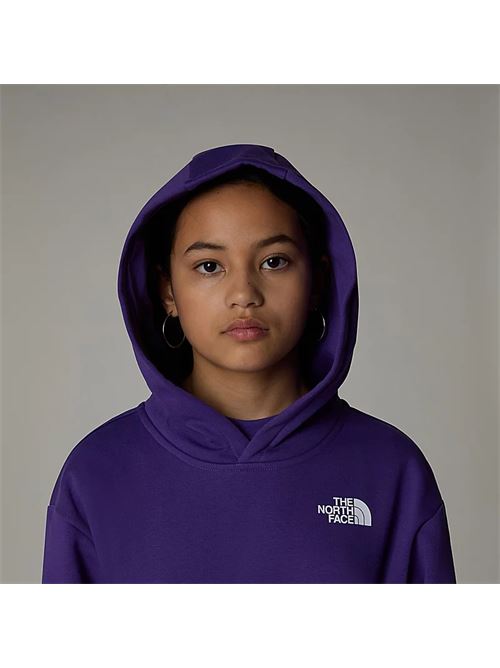 g vertical graphic oversized THE NORTH FACE | NF0A89HDNL41NL4